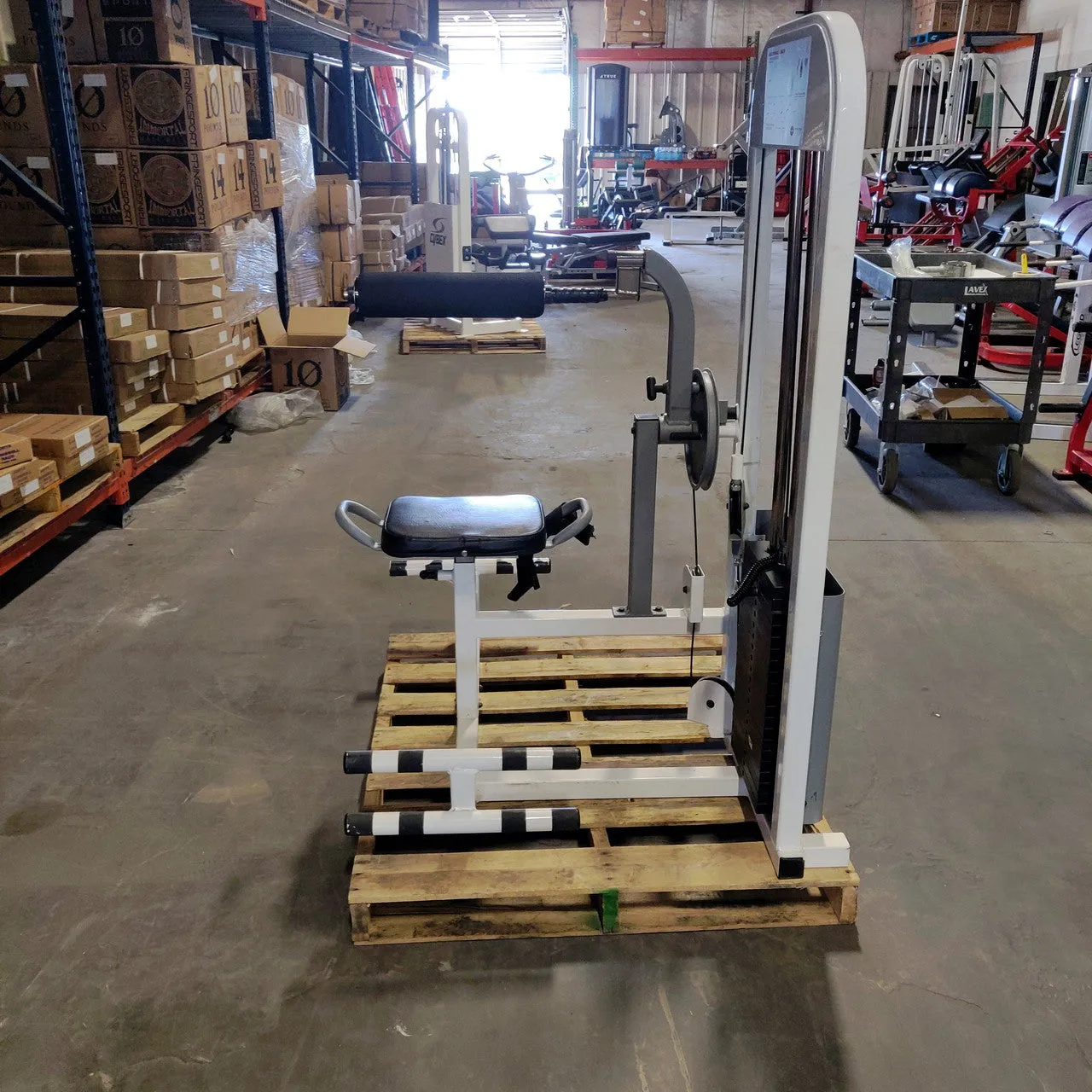 Maximus Fitness Ab/Back Combo Strength Machine