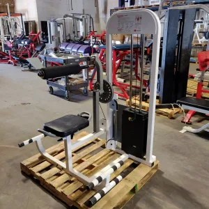 Maximus Fitness Ab/Back Combo Strength Machine