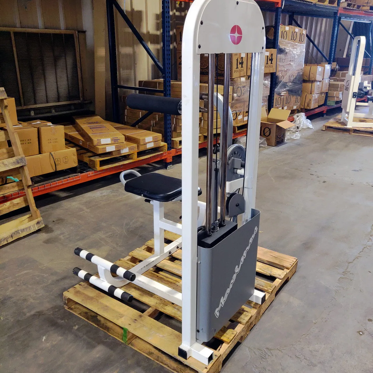 Maximus Fitness Ab/Back Combo Strength Machine